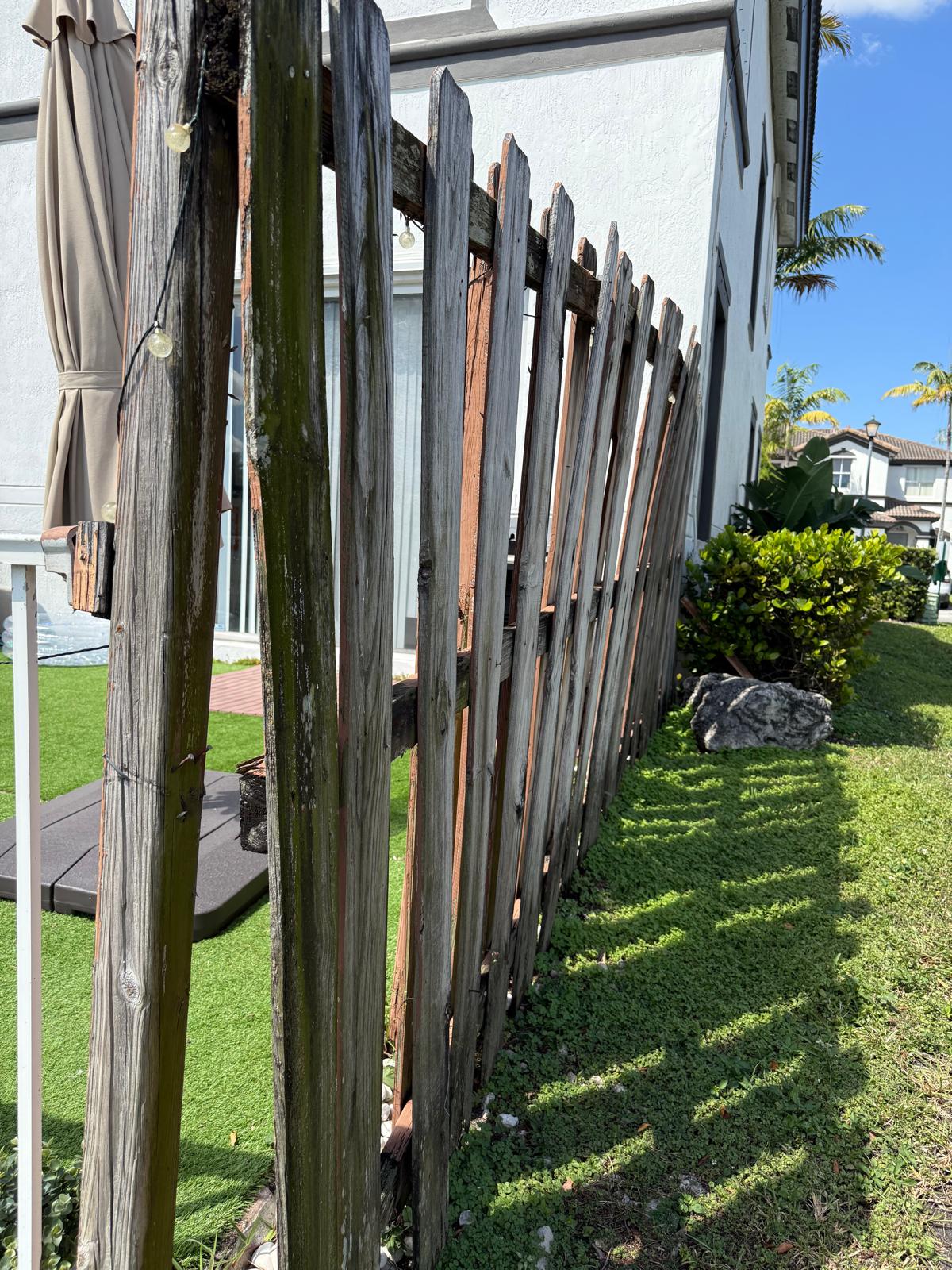 PHOTO-2026-03-02-11-39-10 3